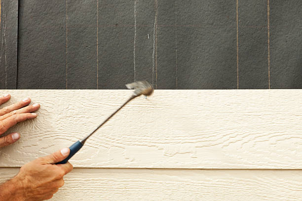 Best Siding Painting and Refinishing  in Huntsville, AR